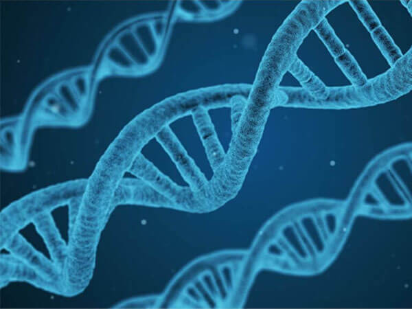 Secuenciación de ADN Bioseq